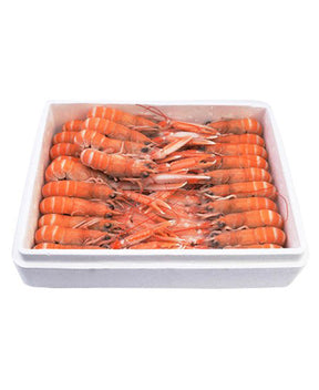 SCAMPO INTERO SCOZIA 16/20 PZ/KG EPS  KG 1,35