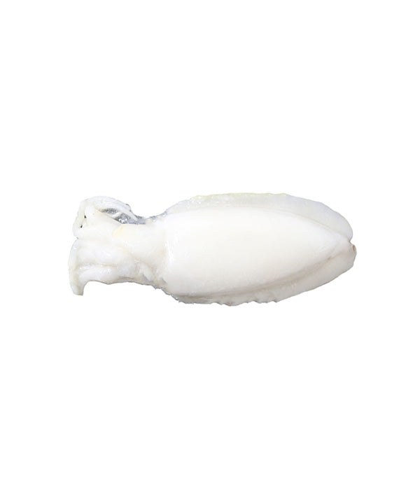 SEPPIA PULITA MAROCCO  GR 800/1000 IQF KG 5