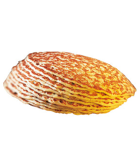 0010919