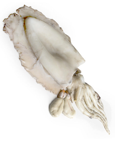 0079425