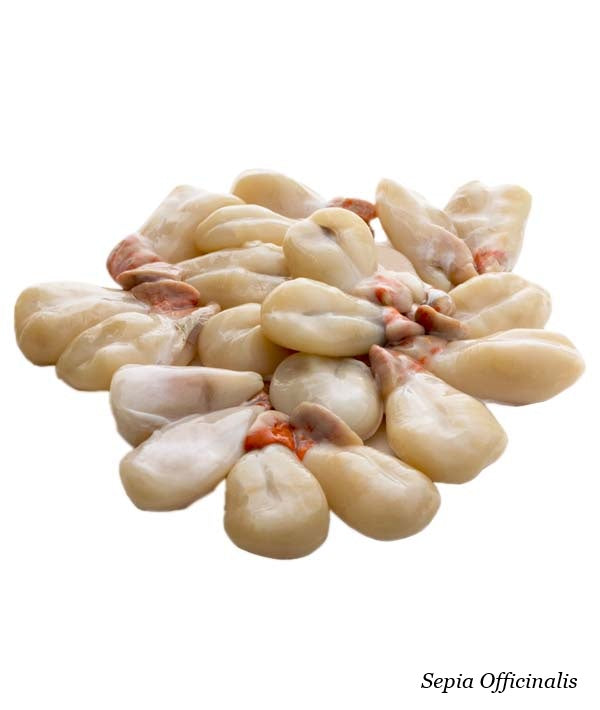 UOVA DI SEPPIA FAO 34 AFRICACOLD KG 7,2