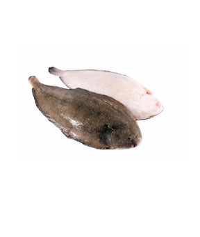 SOGLIOLA 3L FAO 27 EVISCERATA GR 300/350 C/PELLE KG 4
