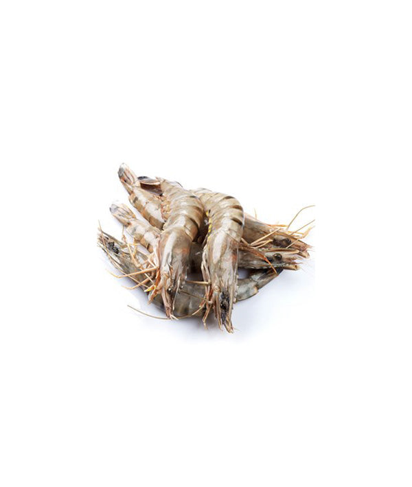 0015729