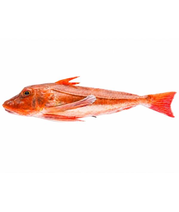 0079229