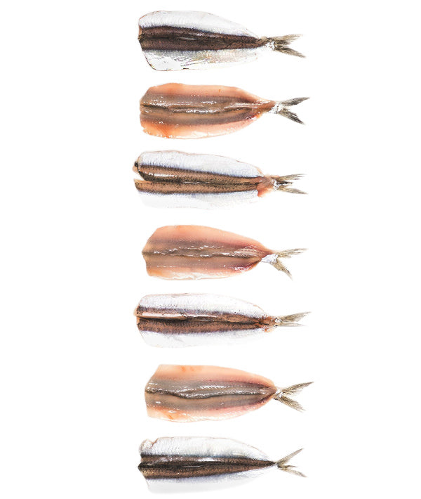0078625