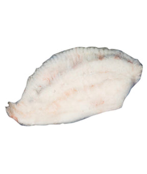 FILETTO DI ROMBO CHIODATO SKIN PZ 10 GR 150/200 DYP KG 2