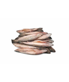 BRANZINO INTERO GR 300/400 EVISCERATO E SQUAMATO KG 5