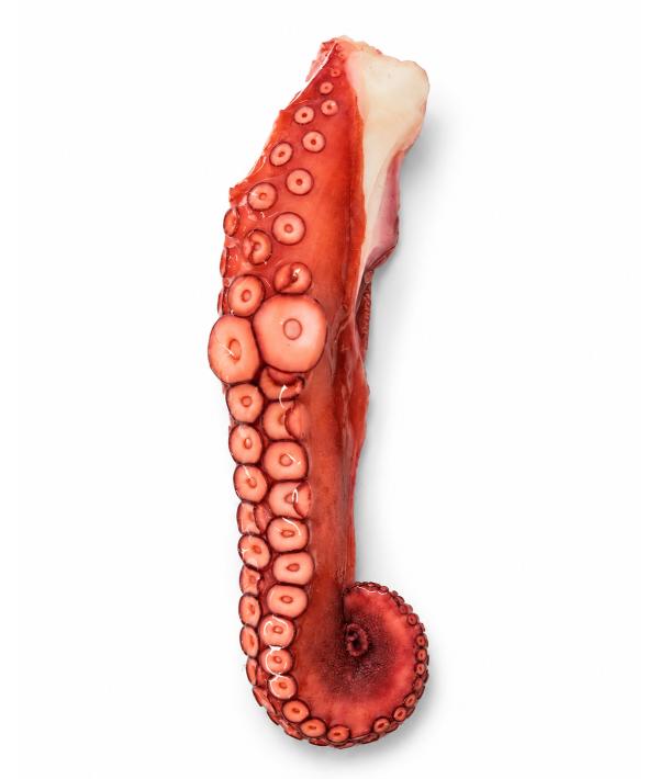 0016046
